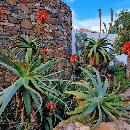 Lejlighed Casita De Lea Costa De Antigua